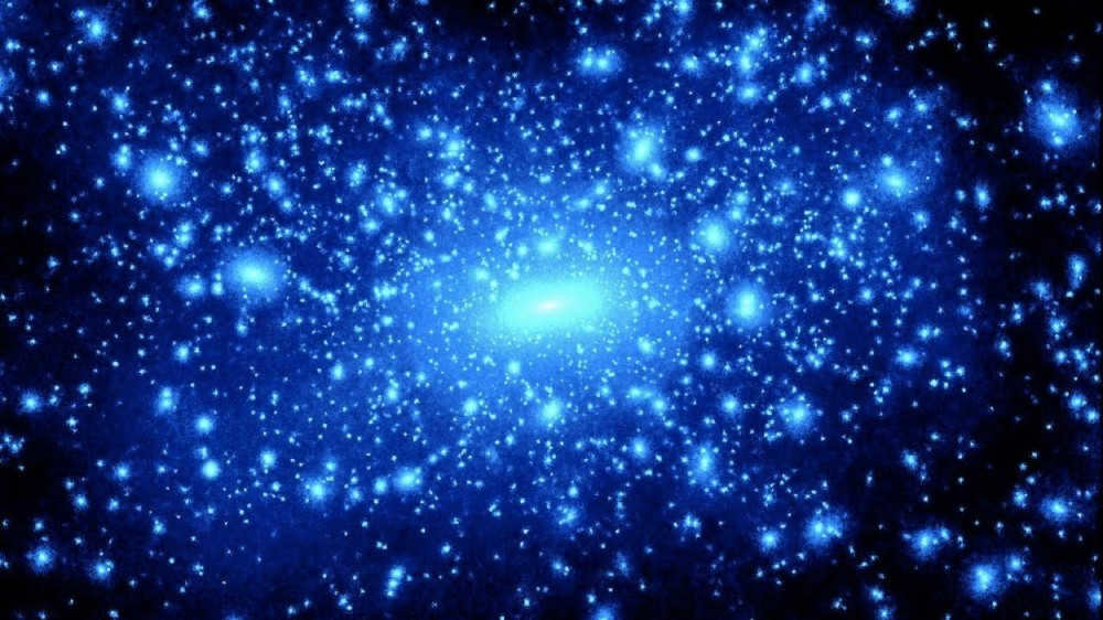 Portrait of the Universe