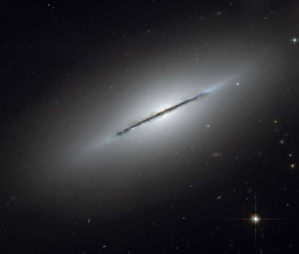 Galaxies: what are the species 7