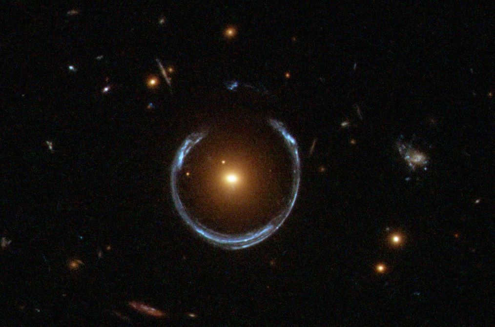 Galaxies: what are the species 24