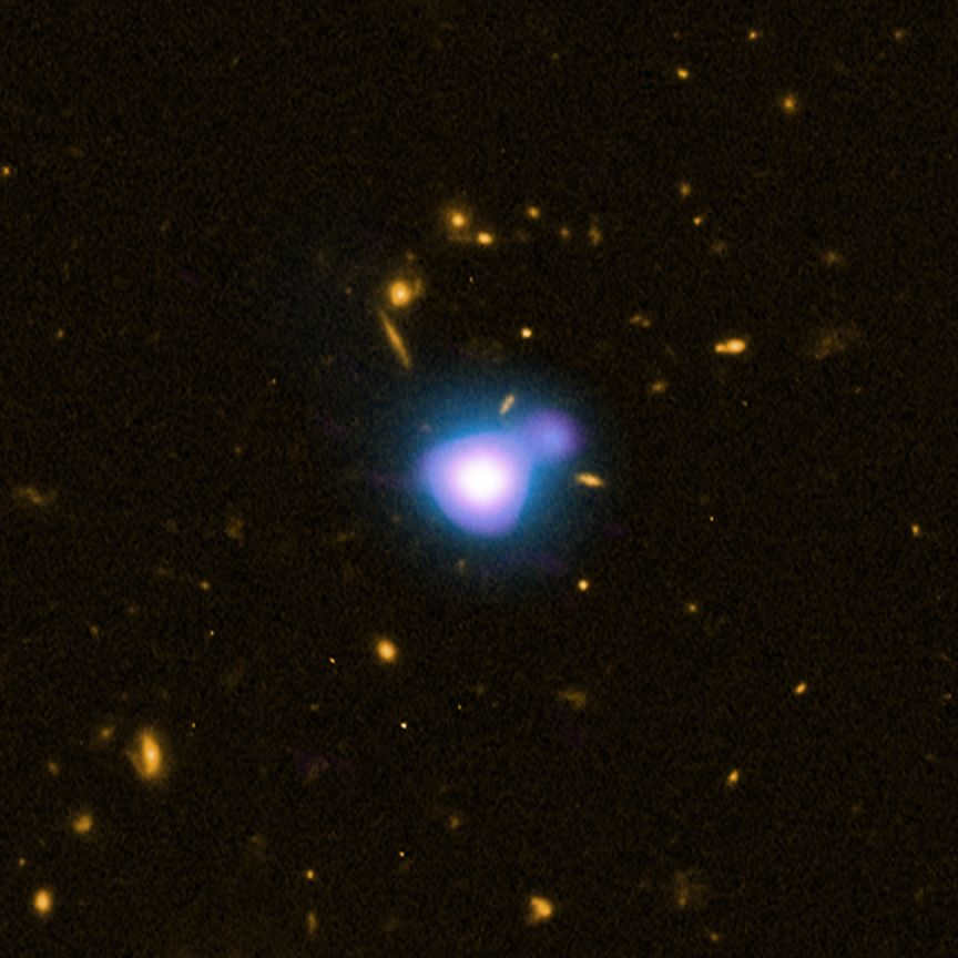 Galaxies: what are the different species 21