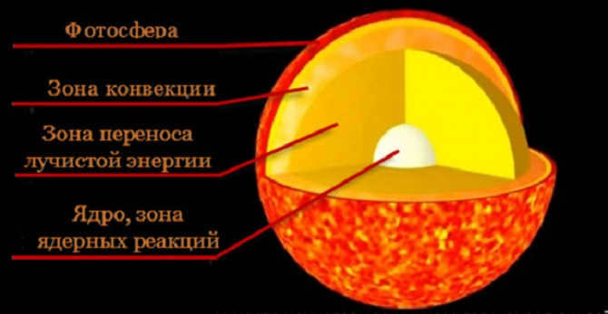 Processes in a new star