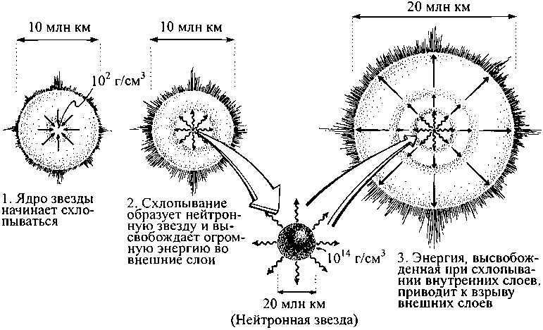 Scheme of transition to a neutron star - supernova flash