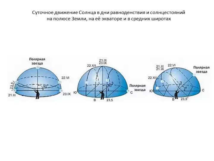 Daily movement of the Sun on the days of equinoxes and solstices at the Earth's pole. 