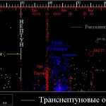 The inclinations of objects in the outer regions of the Solar System (Centaurs, Kuiper belt, and scattered disk objects) are even greater.