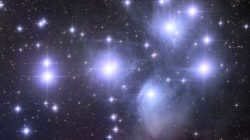 stars
