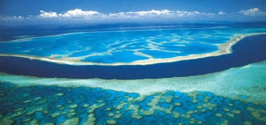 Read more about article The most interesting facts about oceans