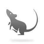 Zodiac Year of the Rat