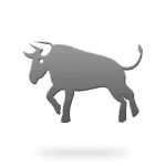 Zodiac Year of the Bull