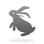Year of the Rabbit or Cat