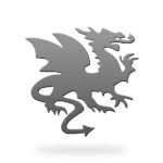 Zodiac Year of the Dragon