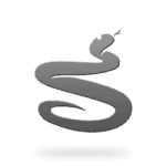 Year of the Snake