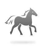 Year of the Horse