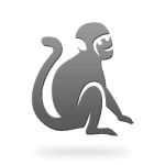 Zodiac Year of the Monkey