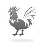 Year of the Rooster