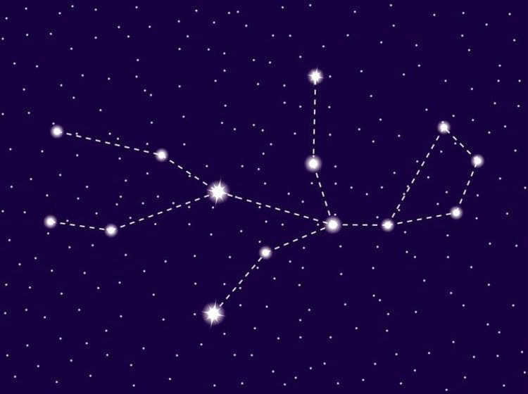 7. Virgo