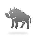 Zodiac Boar, Pig
