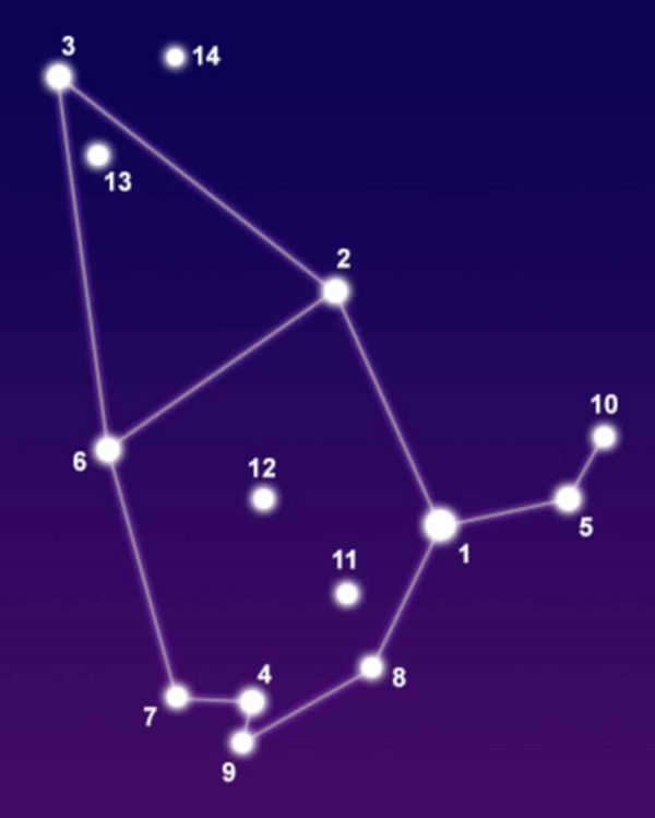 Cepheus