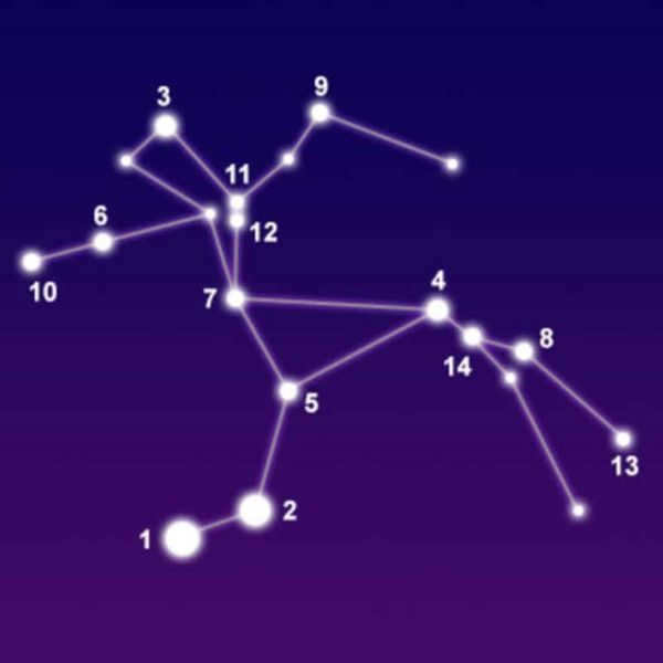 Centaurus