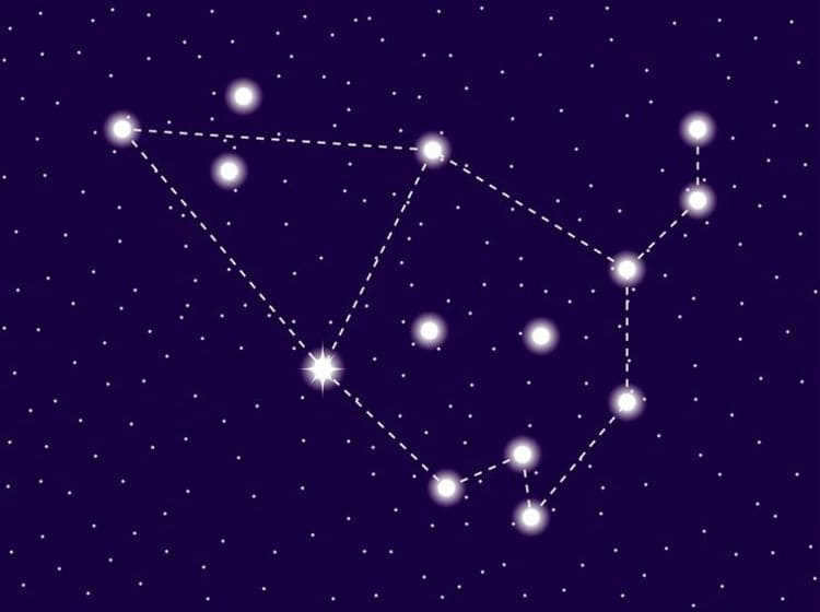 9. Cepheus