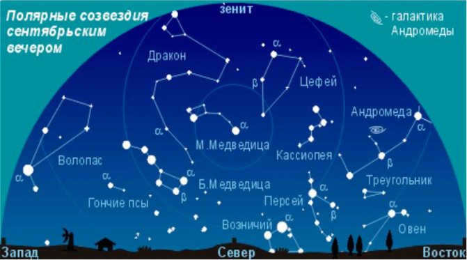 Fall sky constellations
