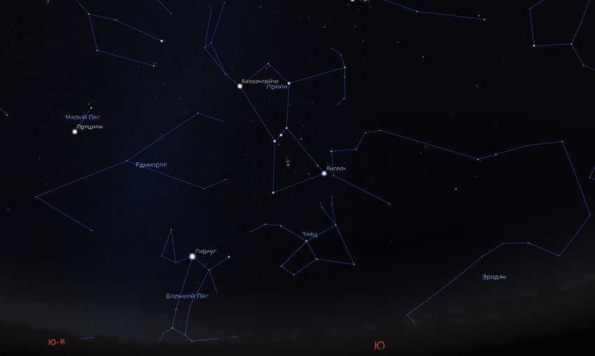 winter starry sky