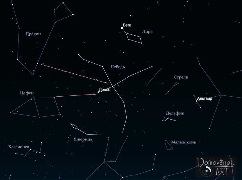 The constellation Lyra and the Swan