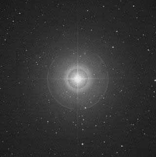 polar star polar bear constellation