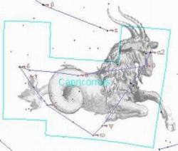 constellation Capricorn