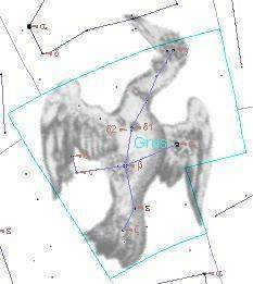 Crane constellation