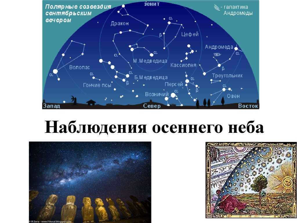 Constellations in the sky: how many there are, a list with names, pictures and diagrams