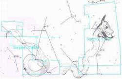 Snake constellation