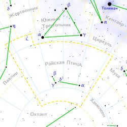 bird of paradise constellation
