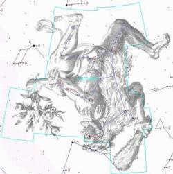 constellation Hercules