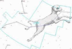 constellation Lynx