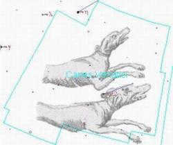 Hound Dog constellation