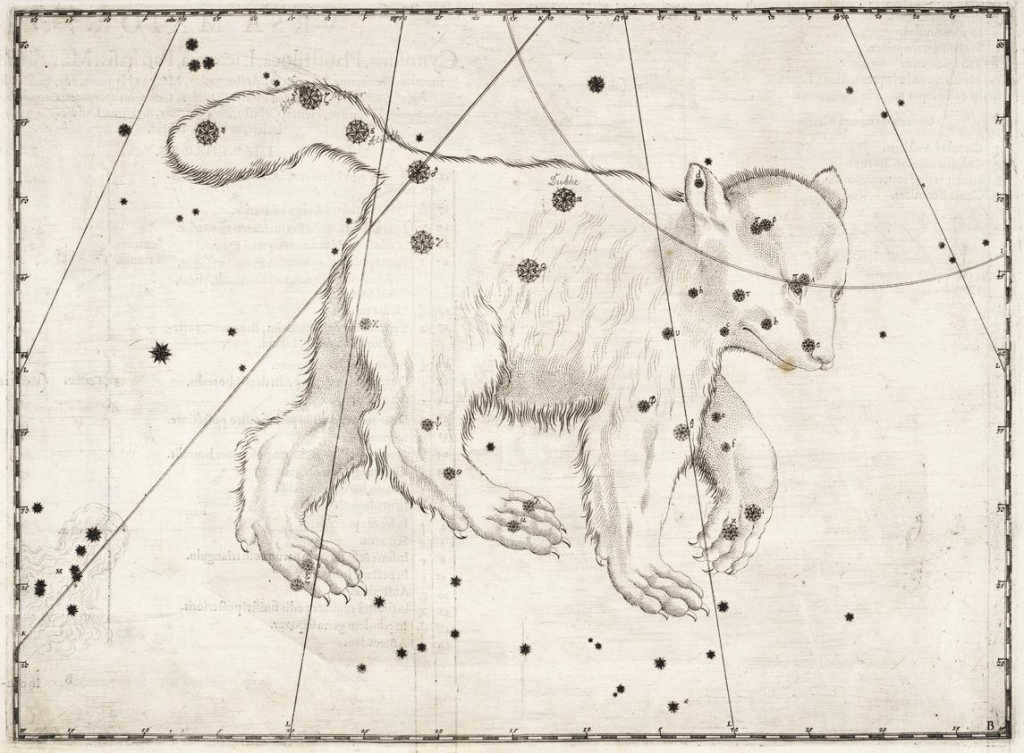 Sozvezdie Bolshoy Medveditsyi Iogann Bayer Uranometriya 1603 god