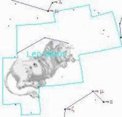 constellation Leo Minor