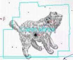 constellation Little Dog
