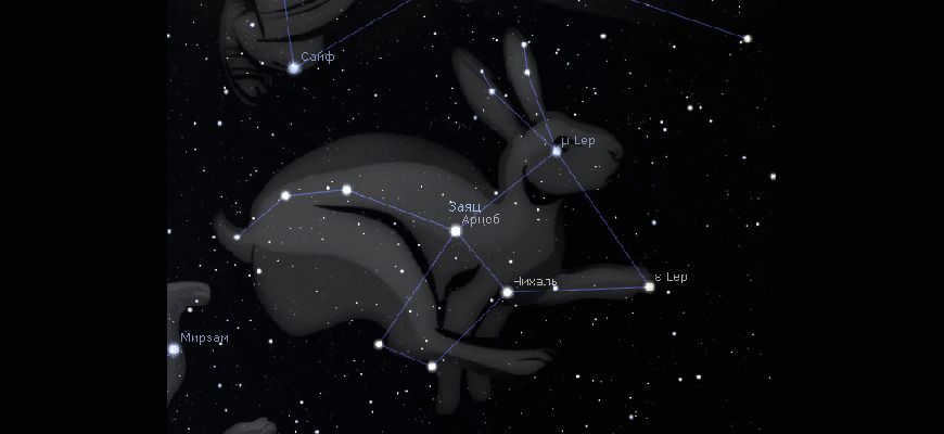 Hare constellation