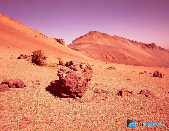 The surface of the planet Mars
