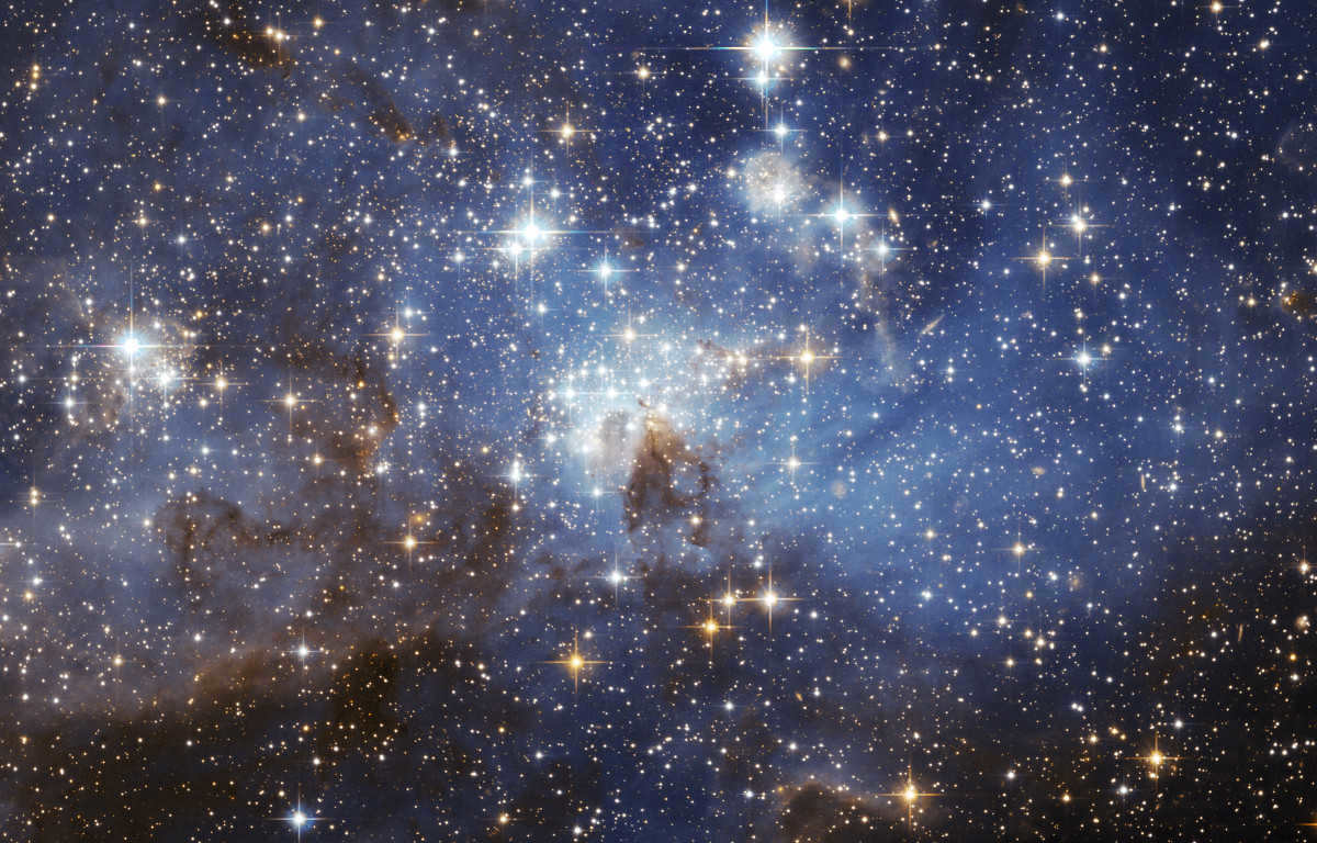 stellar diversity