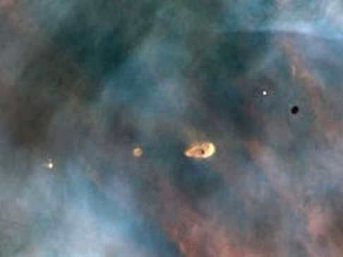 star species