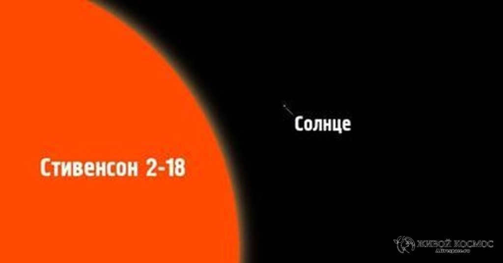 The largest star and the Sun