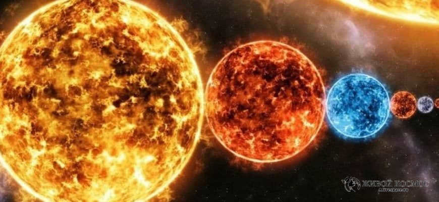 The largest stars of the universe