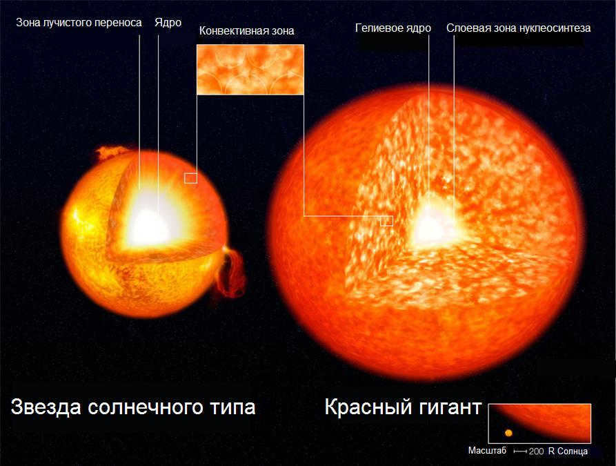 Structure of a solar-type main-sequence star and red giant with an isothermal helium core and a layered nucleosynthesis zone (scale not respected)