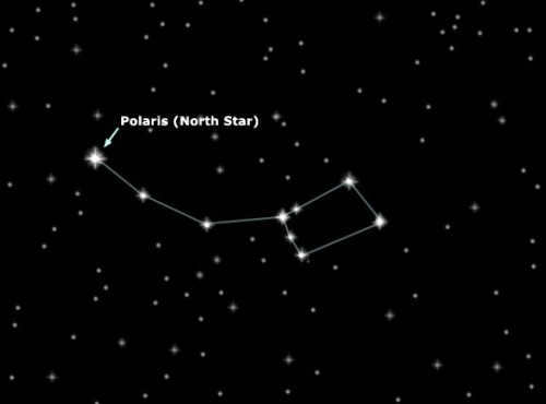 polar bear constellation
