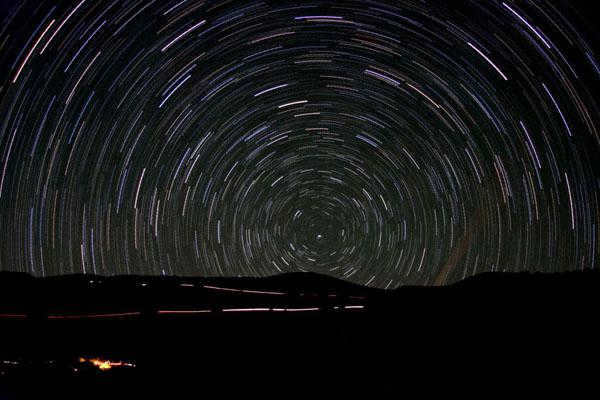 polar bear constellation photo