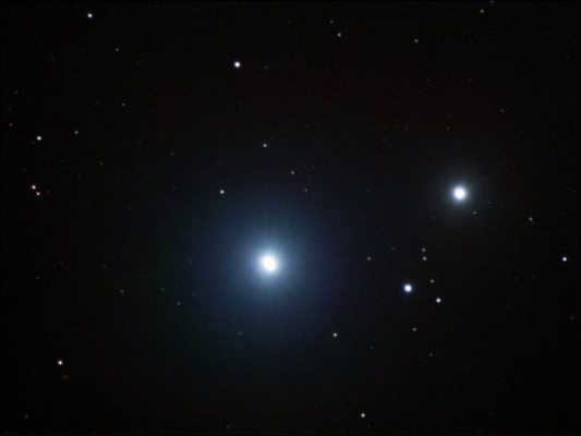 star in the constellation of the Little Bear