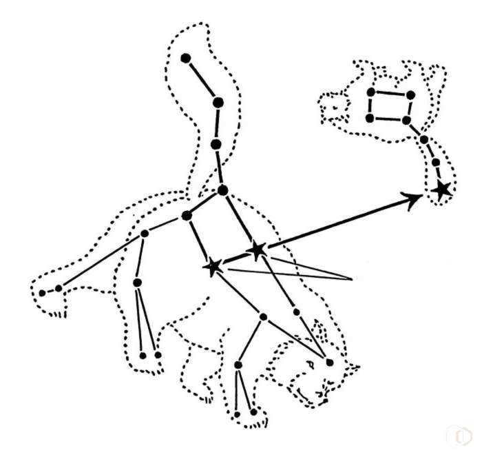 list of stars in the constellation of the Little Bear