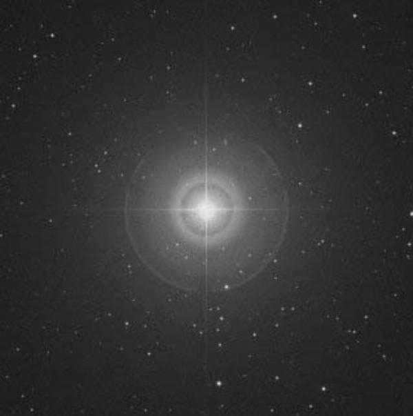 polar star polar bear constellation